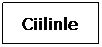 Text Box:   Ciilinle

